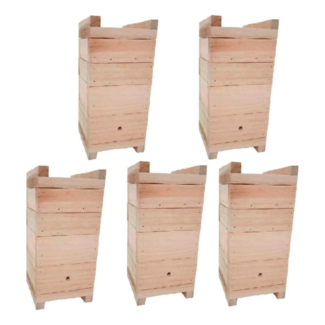 Kit 5 Caixas Impa Abelhas Sem Ferrão Eucalipto 12x12
