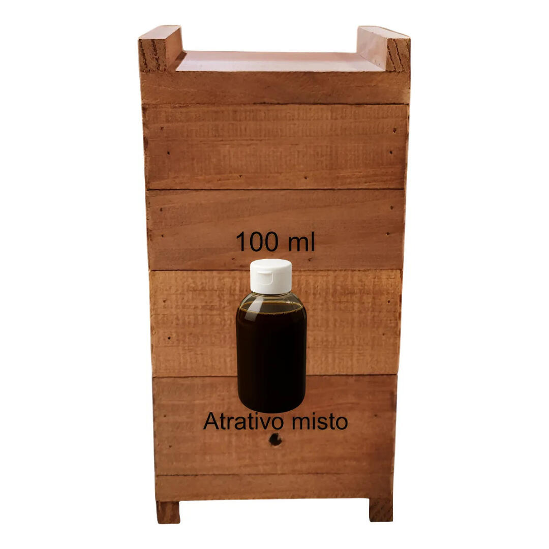 Caixa Isca Para Abelha Jataí Criação De Abelhas Sem Ferrão